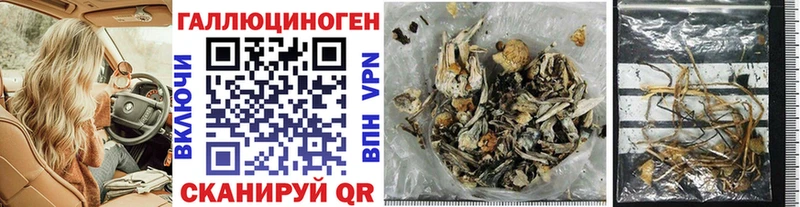 Галлюциногенные грибы Magic Shrooms  Родники 